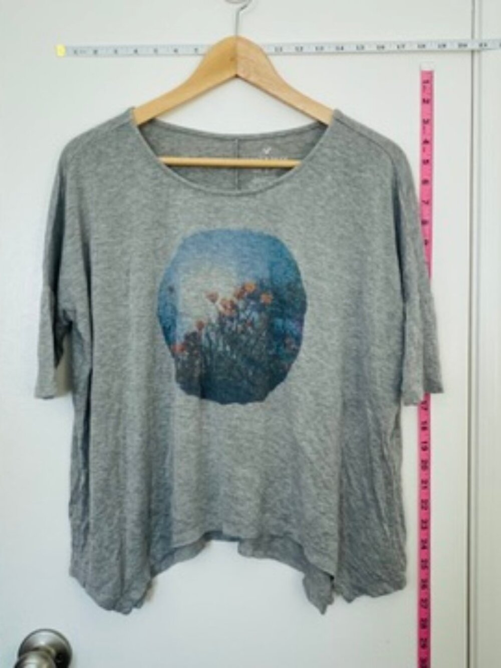 American Eagle Soft & Sexy Grey Poppy Graphic Tee - Size XS/S
